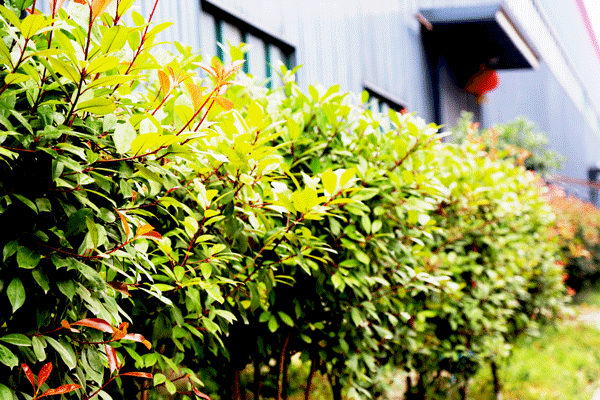 天然居硅藻泥第22期營(yíng)銷培訓(xùn)圓滿結(jié)業(yè) 天然居硅藻泥第22期營(yíng)銷培訓(xùn)圓滿結(jié)業(yè)